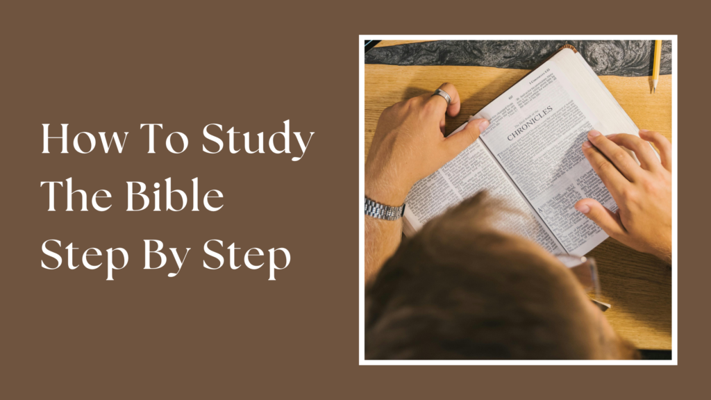 How to study the bible step by step